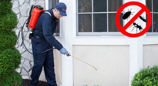 Kemah Akrep İlaçlama böcek ilaçlama ve haşere kontrolü — ilaclama-tr.com